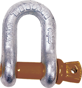 SHACKLE-D ANCHOR GALV 1/4IN